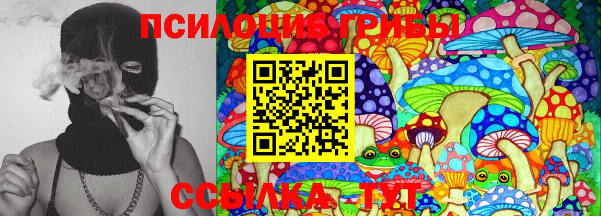 Галлюциногенные грибы GOLDEN TEACHER Пенза